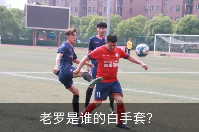 老罗是谁的白手套？